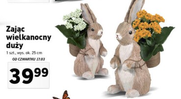 Znalezione obrazy dla zapytania zając z kwiatkiem lidl
